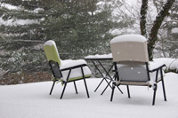 Blizzard Photo